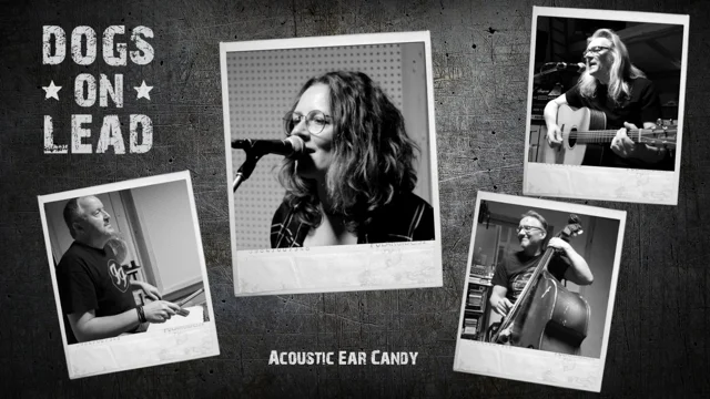 Werbefoto der Band "Dogs on Lead" zu ihrem aktuellem Program Acoustic Ear Candy