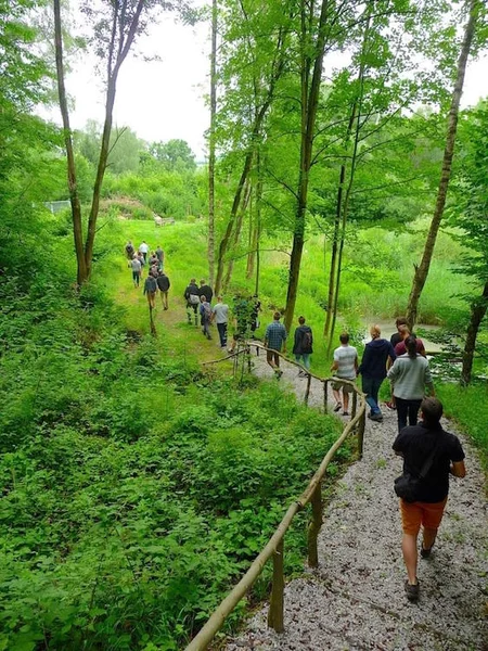 Eine Gruppe Menschen, von hinten aufgenommen, geht einen Kiespfad zwischen grünen Pflanzen und Bäumen entlang