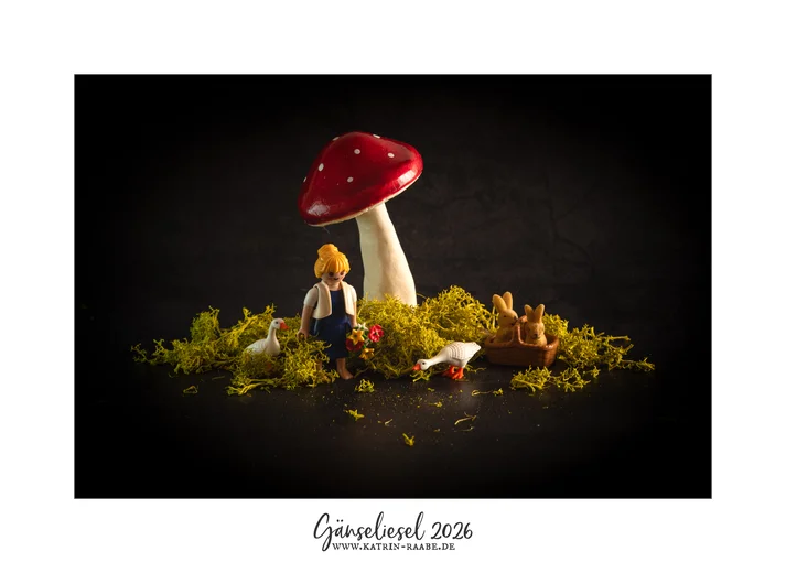 Liesel im magischen Pilzwald