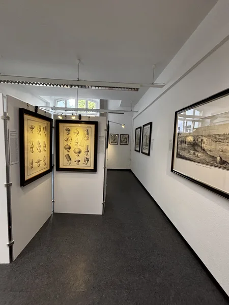 Ausstellung im Göttinger Verlag der Kunst