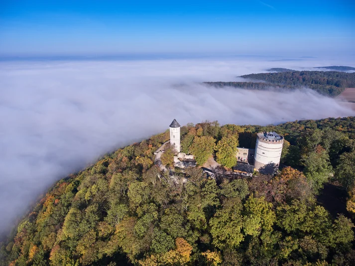 Luftaufnahme der Burg Plesse, umgeben von Wald. Nebel bedeckt die umgebende Landschaft.