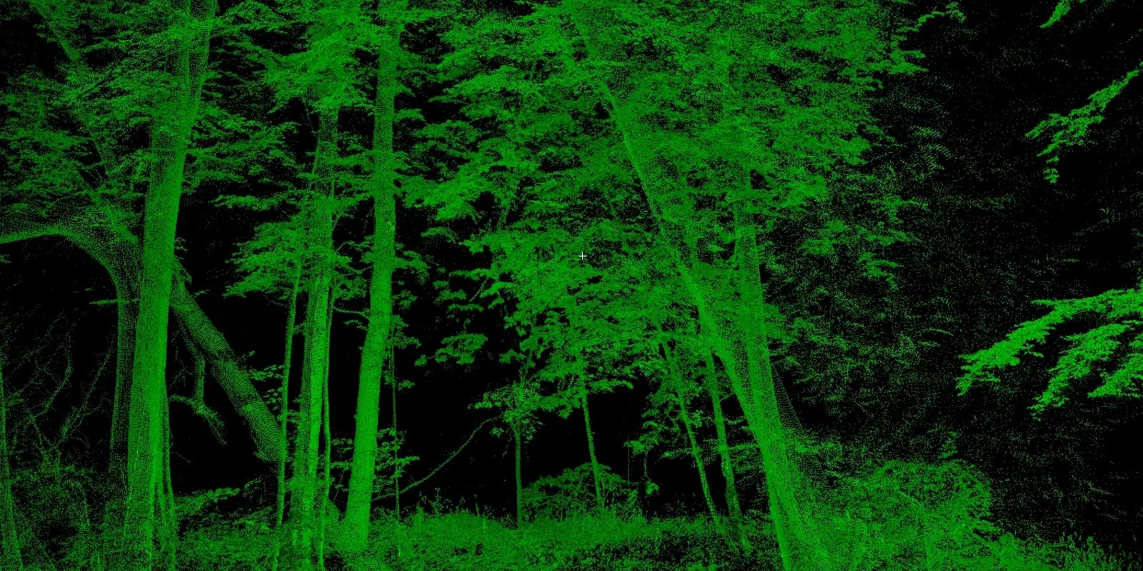 Laserscan aus dem Nationalpark Hainich: grüne Baumumrisse auf schwarzem Grund