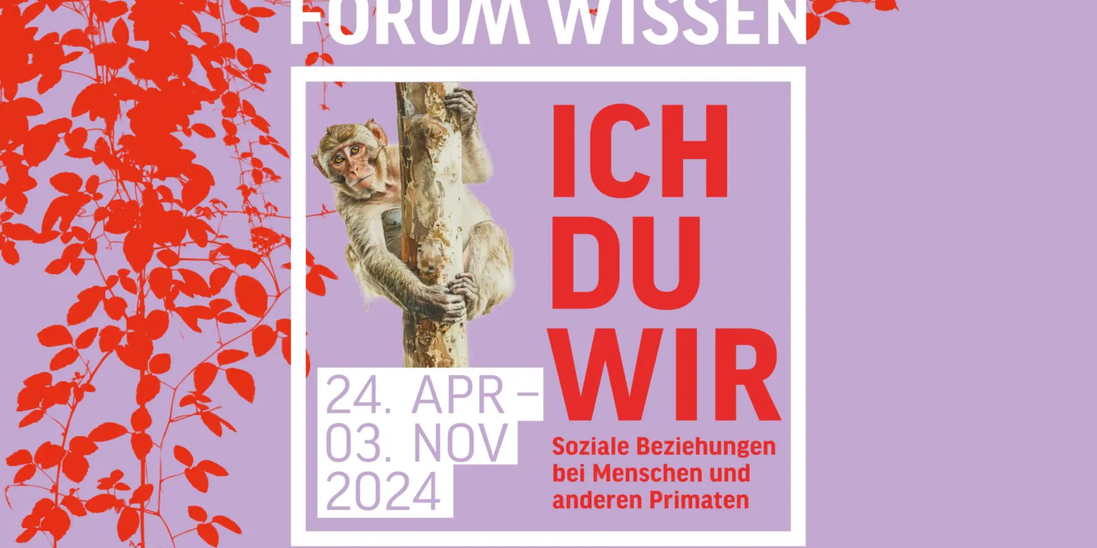 Ich Du Wir im Forum Wissen