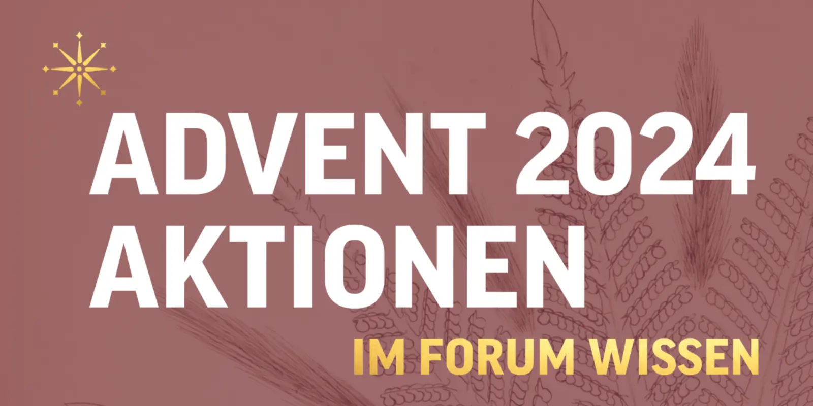 Adventsaktion im Forum Wissen
