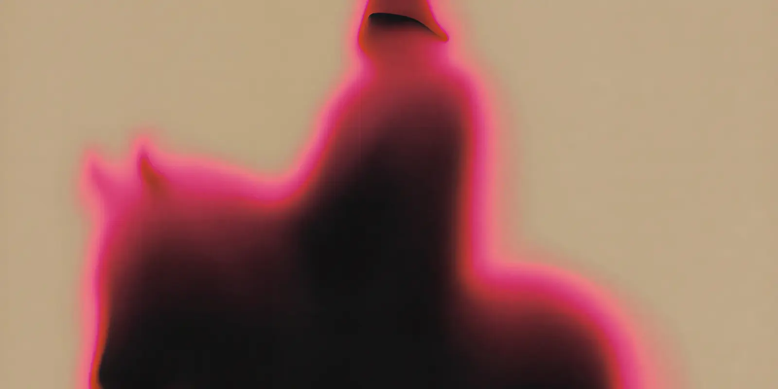 Illustration Michael Kolhaas
