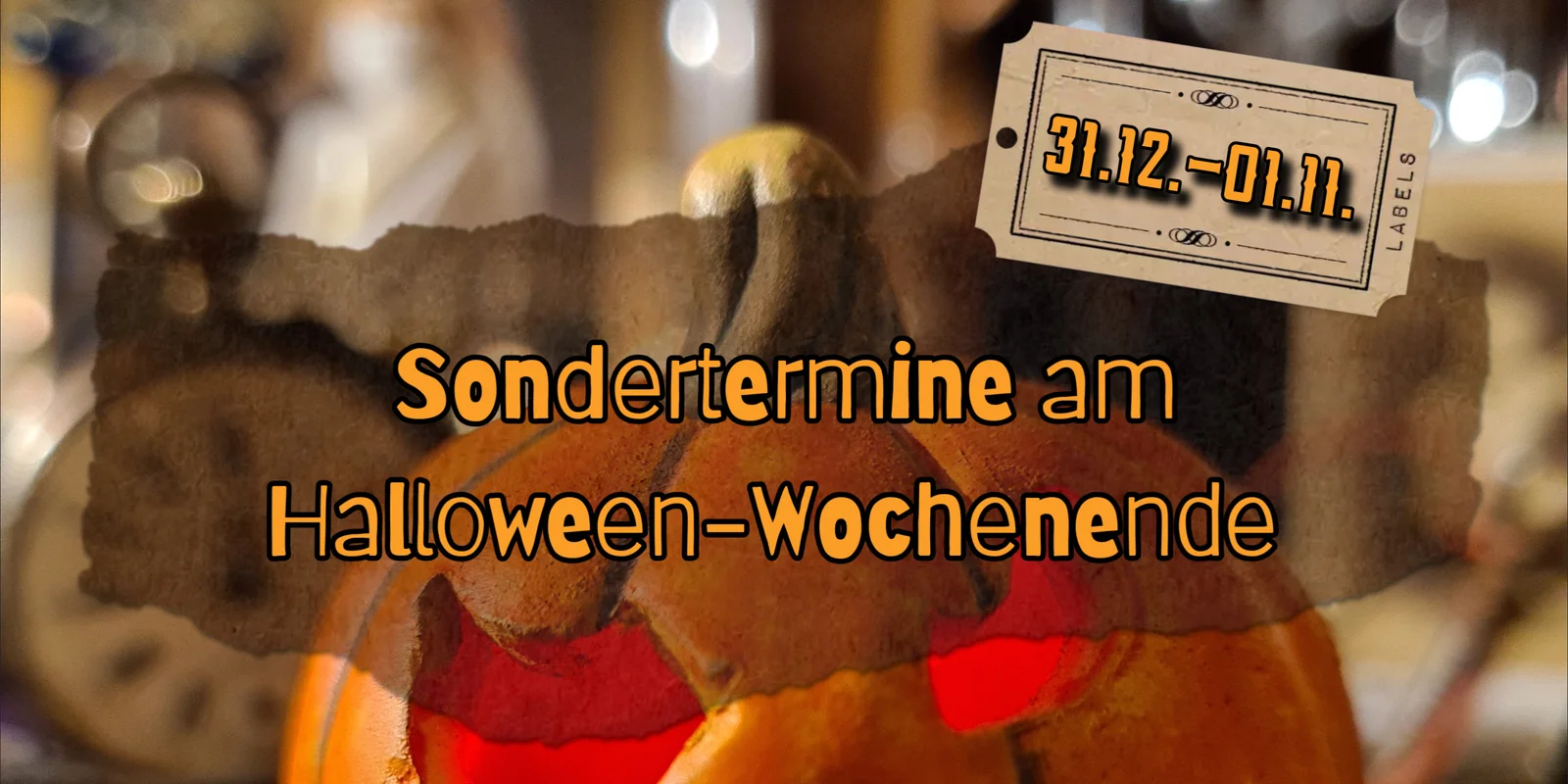 Sonderführungen in der Wunderkammer am 31.10.-01.01.