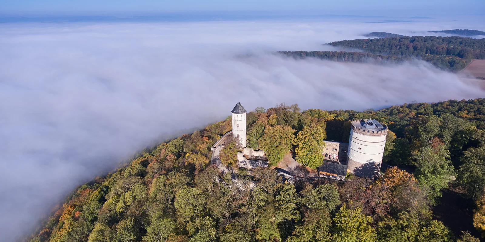Luftaufnahme der Burg Plesse, umgeben von Wald. Nebel bedeckt die umgebende Landschaft.