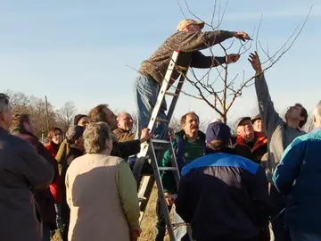 obstbaumschnitt-c-sielmann-stiftung.JPG
