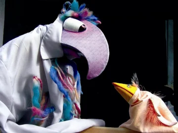 Kl.Vogelflieg-768x568-4x.png