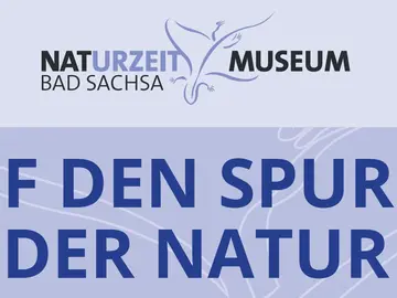 Museum