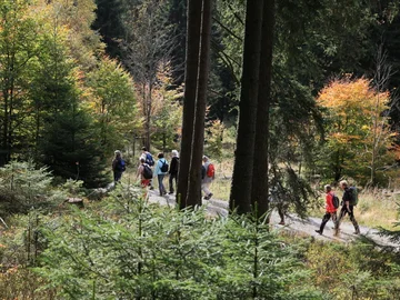 wandern-menschengruppe-siegfried-richter.JPG