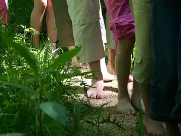 Wandern_mit_allen_Sinnen_Noerenberg.jpg