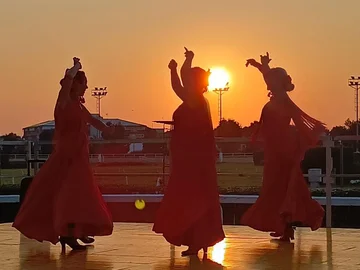 flamenco-2x.png