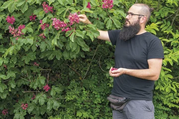 Dylan Sara steht in einem Garten und pflückt Blüten von einem Busch.