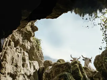 Hauptbild