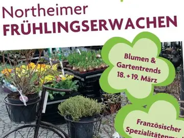 Frühlingserwachen