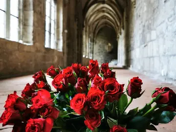 Kreuzgang im Kloster Walkenried