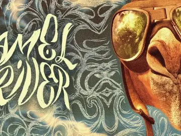 camel-driver.jpg