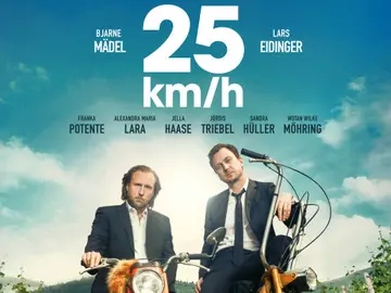 25 km/h