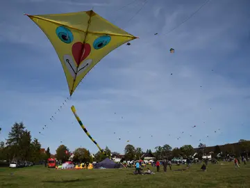 Drachenfest am 19.10.2024 von 11-16 Uhr