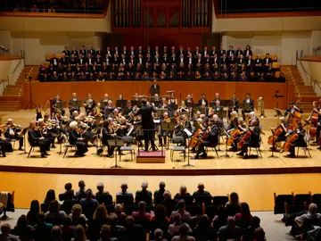 Das Orchester