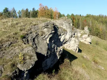 Klippen aus Dolomitgestein und artenreiche Kalkmagerrasen prägen den Steinberg bei Scharzfeld