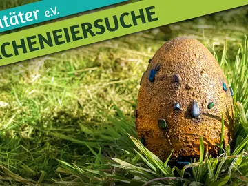Dracheneiersuche