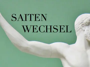Saitenwechsel-logo