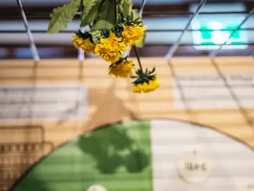 fünf Löwenzahnblüten hängen von einem Gitter