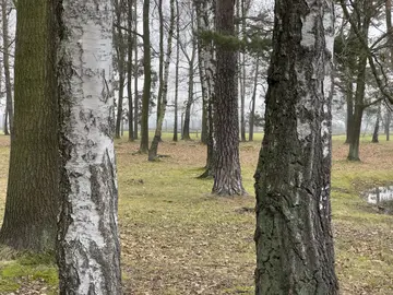 Juergen Teller: Auschwitz Birkenau (2025)
