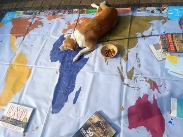 Weltspiel mit Hund