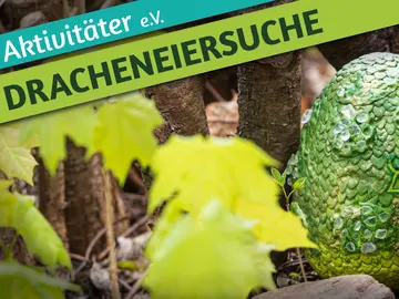 Dracheneiersuche26