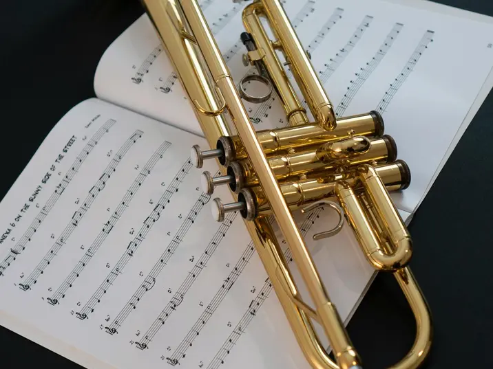 Symbolbild_Musik_pexels-paulseling.jpg