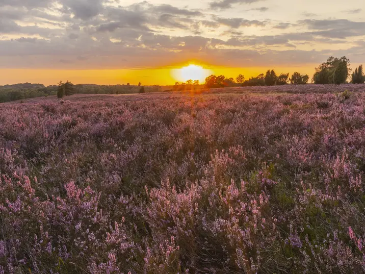 Hauptbild