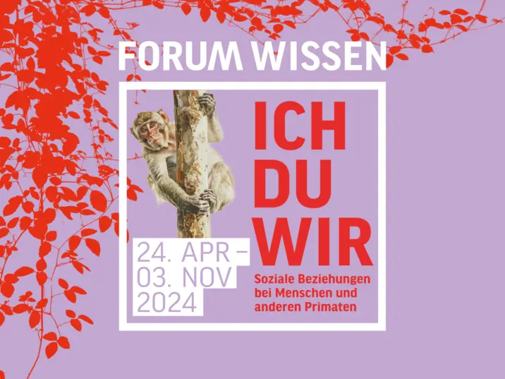 Ich Du Wir im Forum Wissen