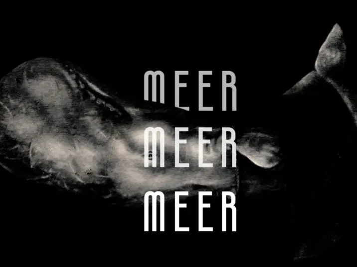 Meer Meer Meer im Forum Wissen