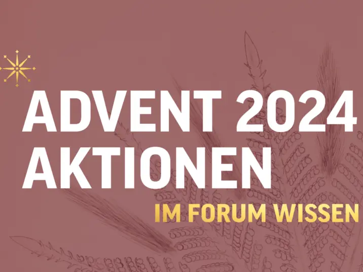 Adventsaktion im Forum Wissen