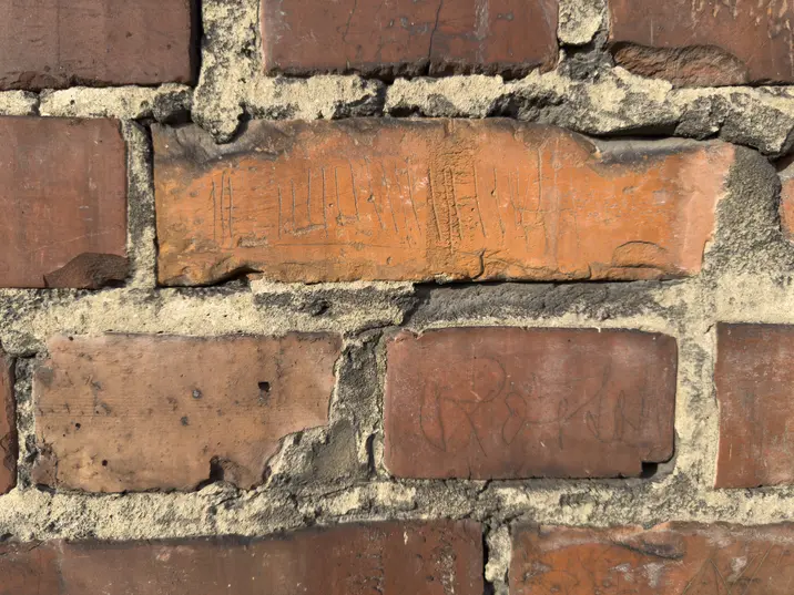 Juergen Teller: Auschwitz Birkenau (2025)