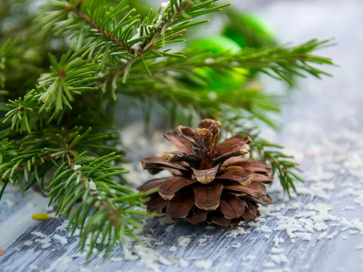 Nahaufnahme eines braunen Tannenzapfens neben frischen grünen Tannenzweigen auf einem Holztisch, mit verstreutem weißem Kunstschnee.