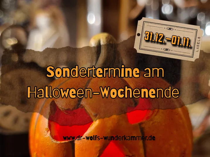 Sonderführungen in der Wunderkammer am 31.10.-01.01.